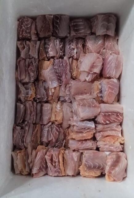 Raw Bhetki fillet packed for a HORECA client